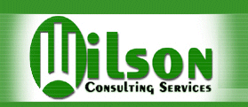Wilson Consulting